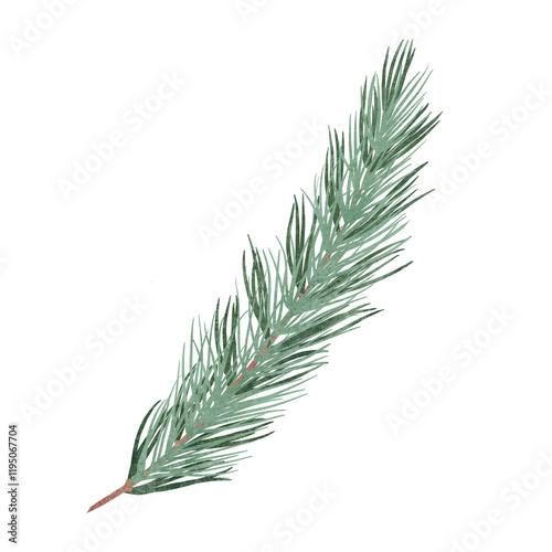 Pine spruce green branch, unique digital hand drawn illustration isolated on white background.