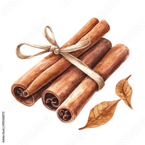 A watercolor drawing of Cinnamon, isolated on a white background. Cinnamon vector.
