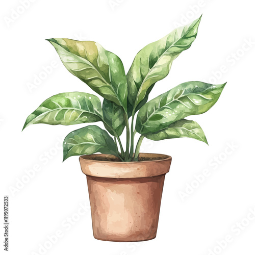 A watercolor of a cast iron plant, isolated on a white background. Cast iron plant vector.
