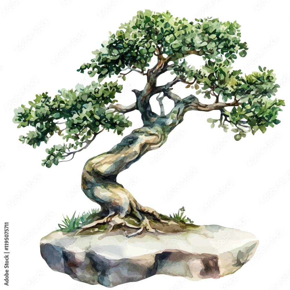 A watercolor of a bonsai tree, isolated on a white background. Bonsai tree vector.
A watercolor of a bonsai tree, isolated on a white background. Bonsai tree vector.