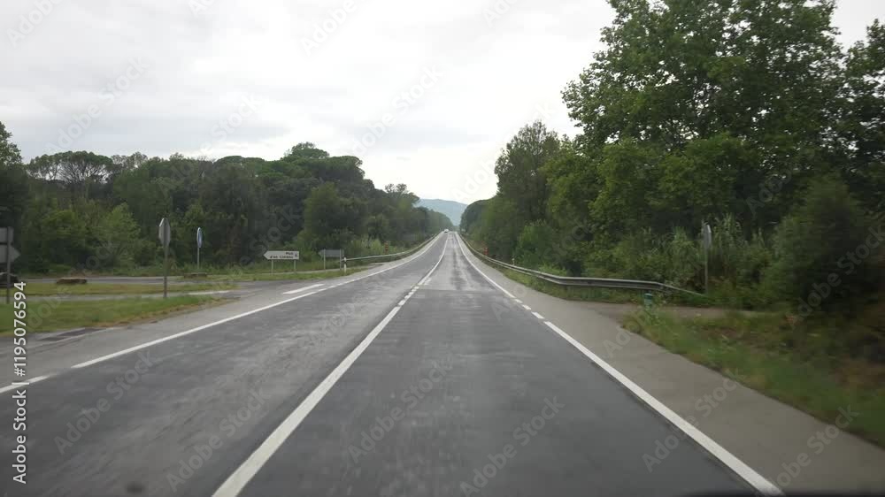 Carretera entre árboles