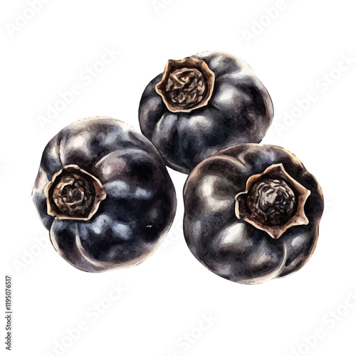 A watercolor illustration of black pepper, isolated on a white background. Black pepper vector.
