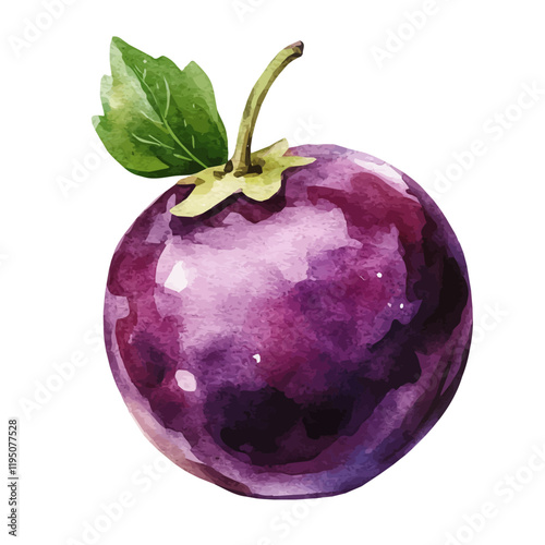 A watercolor illustration of bilberries, isolated on a white background. Bilberry vector.
