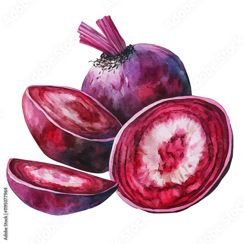 A watercolor clipart of a beetroot, isolated on a white background. Beetroot vector.
