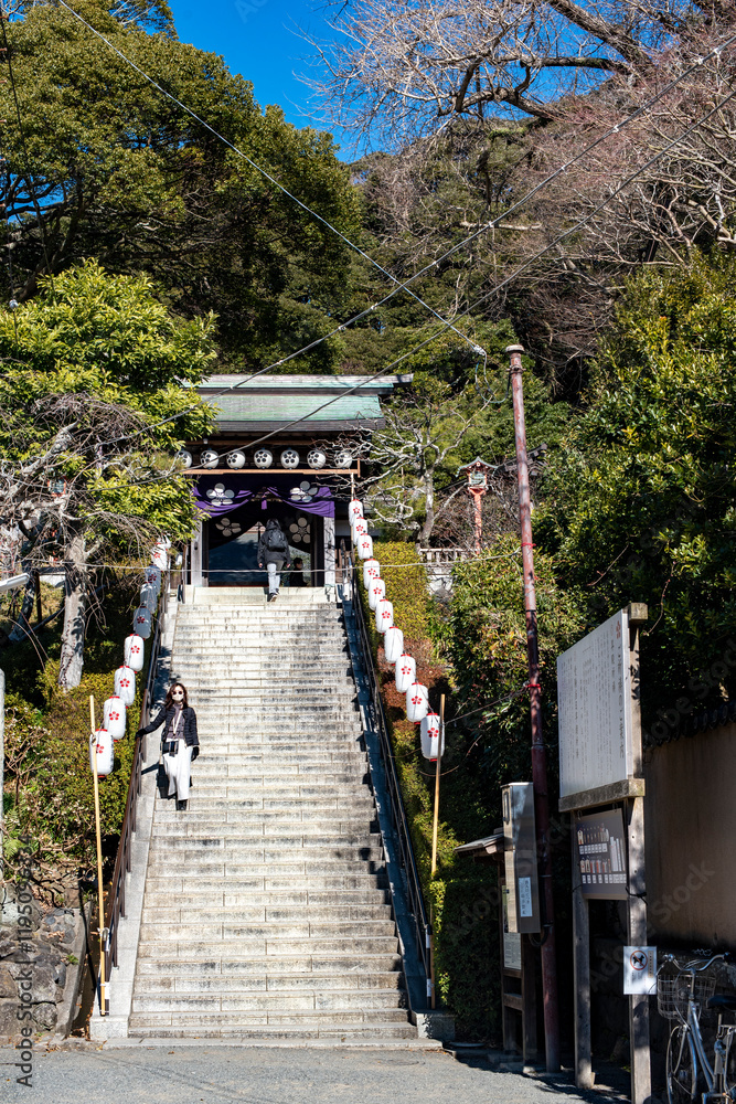 鎌倉2501 荏柄天神社5 正月飾り 鎌倉2501 荏柄天神社5 正月飾り