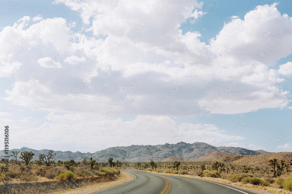 Panoramic view with an empty road in the desert. Panoramic view with an empty road in the desert.
