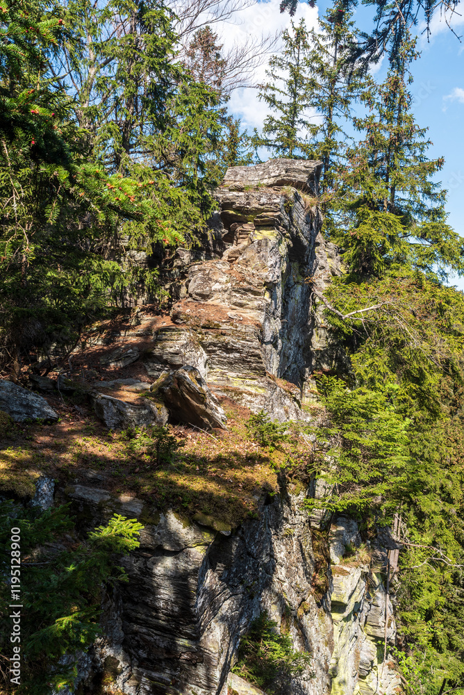 Hill summit with quartzite rock formation and trees - Jeleni hrbet in Jeseniky mountains in Czech republic Hill summit with quartzite rock formation and trees - Jeleni hrbet in Jeseniky mountains in Czech republic