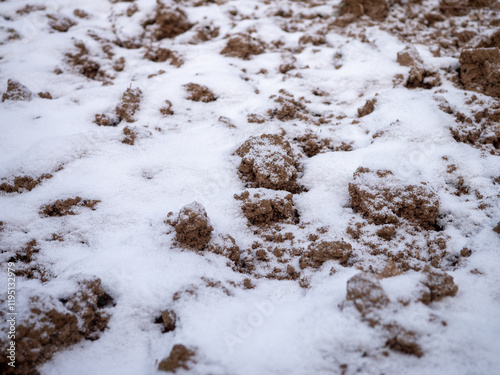 I rest the snowy arable land before spring planting. photo