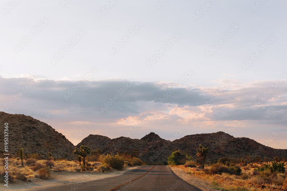 Road at sunset with a mountain in Joshua National park, Mojave Desert, California. Road at sunset with a mountain in Joshua National park, Mojave Desert, California.