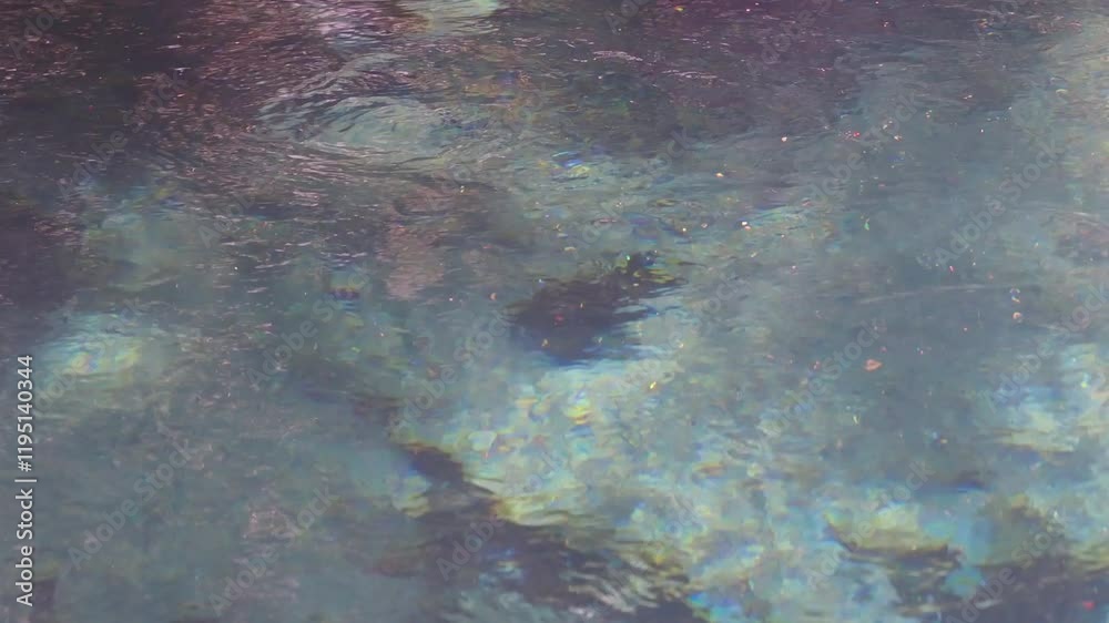 Water springing from the emerald green ground