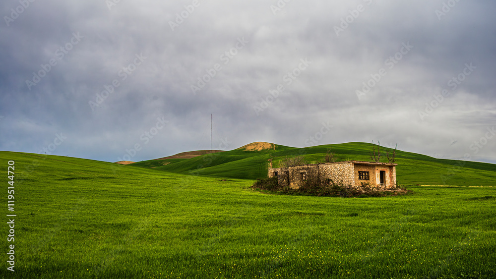 Matera province: spring countryside landscape Matera province: spring countryside landscape