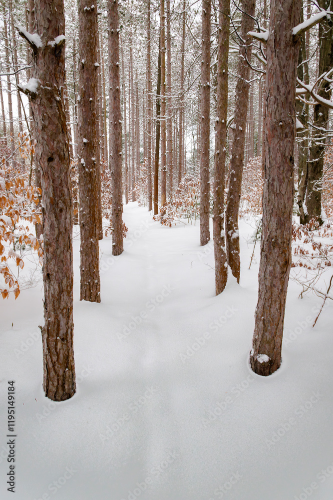 Fototapeta premium Snowfall Alley
