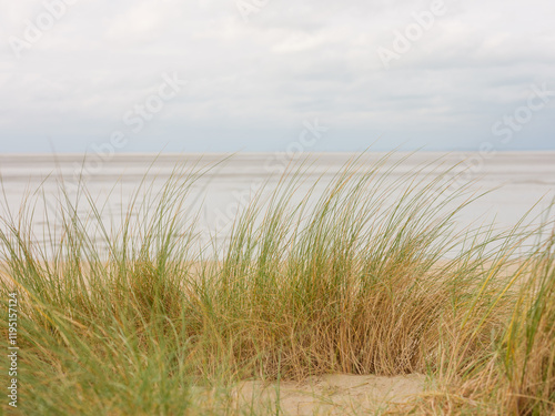 Dünengras an der Küste der Normandie bei ruhigem Wetter