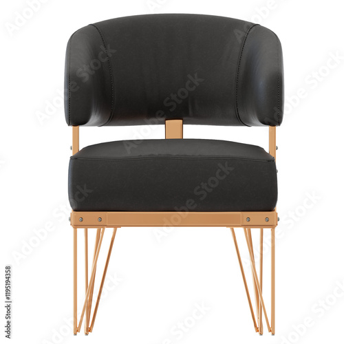 silla de cuero  photo