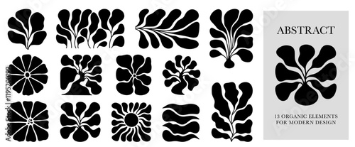 Monochrome Matisse Curves. Set of Minimal Organic Flower Shapes and Groovy Abstract Nature Symbols