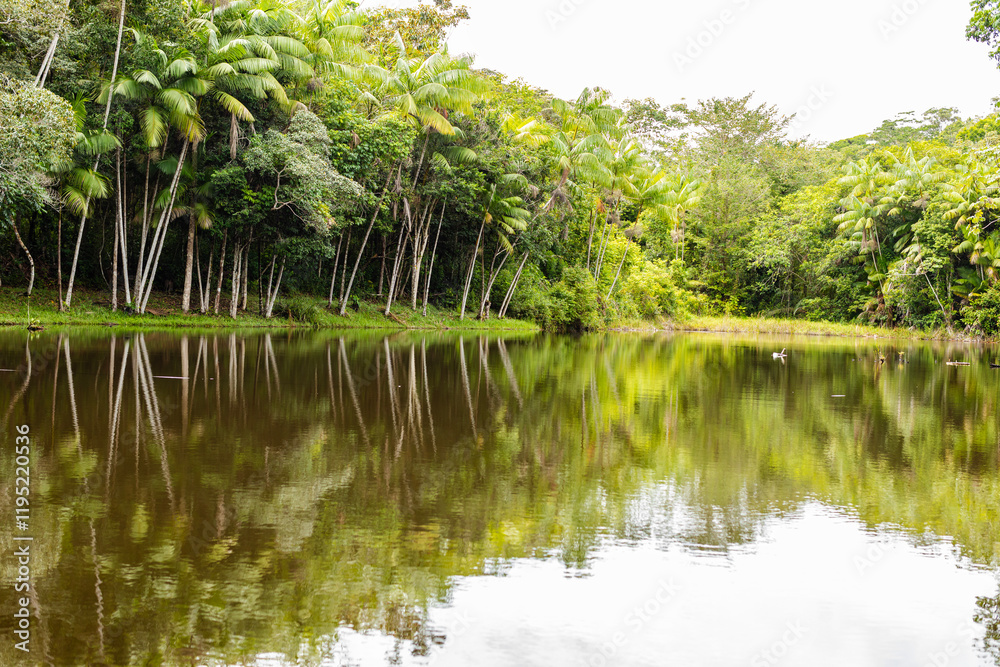 paisagem paisagem
