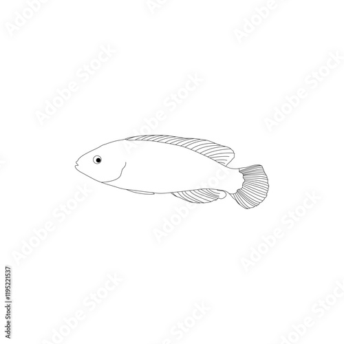 Fish line art vector design. Fish line art outline illustration design.