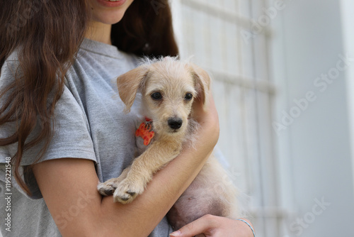 
Pet adoption. Girl with her adopted dog at animal shelter.