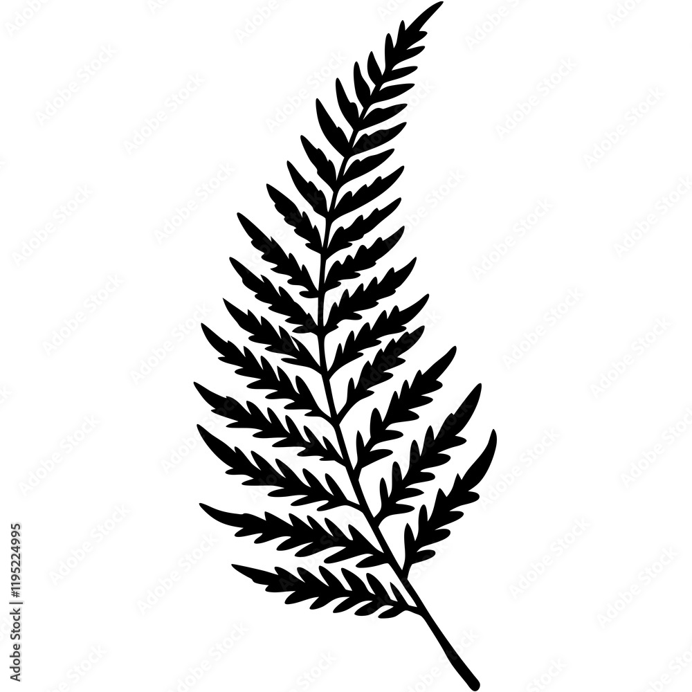 Modern Botanical Fern Line Vectors Modern Botanical Fern Line Vectors