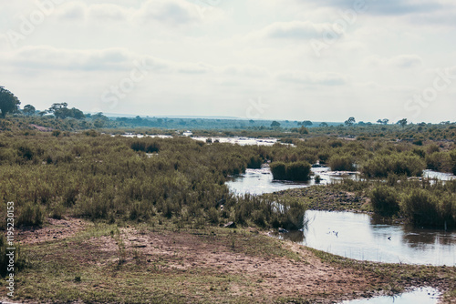 River basin of the Crocodile River in Kruger National Park. South Africa photo