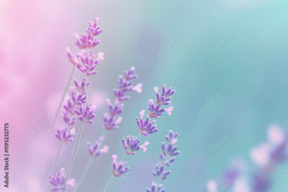 A calming gradient background with lavender and mint colors.featuring smooth transitions.evoking peace and serenity.ideal for wellness and relaxation themes A calming gradient background with lavender and mint colors.featuring smooth transitions.evoking peace and serenity.ideal for wellness and relaxation themes
