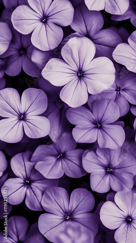 Purple Flower Bloom Illustration
