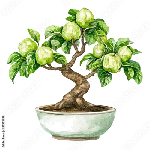 A watercolor painting of a custard apple bonsai, isolated on a white background. Custard apple bonsai vector.
