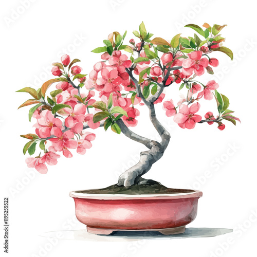 A watercolor vector of a crabapple bonsai, isolated on a white background. Crabapple bonsai vector.
