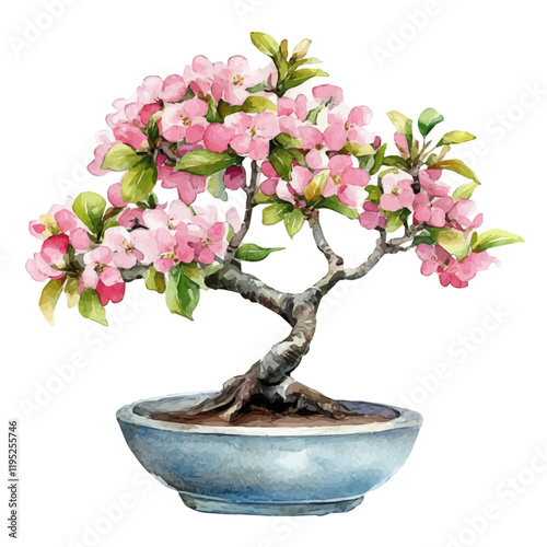 A watercolor vector of a crabapple bonsai, isolated on a white background. Crabapple bonsai vector.
