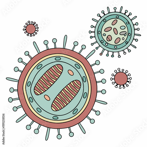 Human Metapneumovirus Vector Illustration 