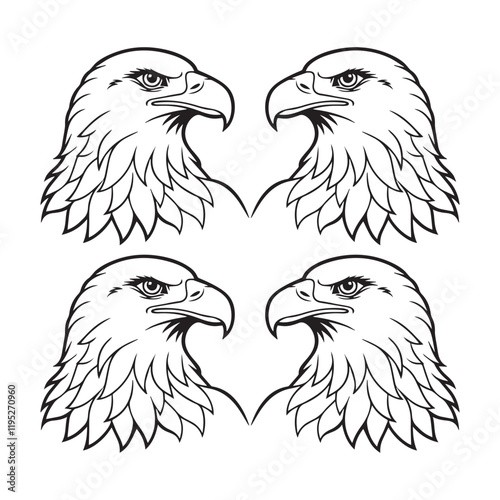 eagle vector illustration