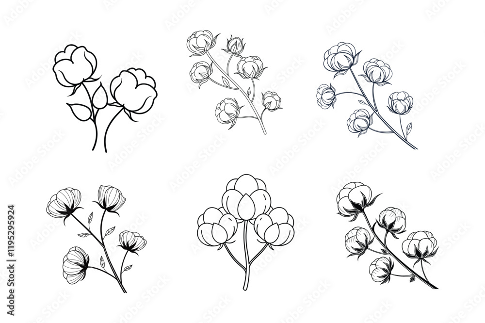 Elegant cotton flowers abstract line art contour drawings in a minimalist style. Perfect for modern decor, digital designs, and seamless patterns. Ideal for creative and stylish projects.