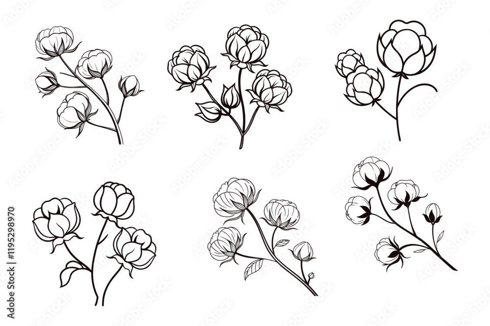 Elegant cotton flowers abstract line art contour drawings in a minimalist style. Perfect for modern decor, digital designs, and seamless patterns. Ideal for creative and stylish projects.
