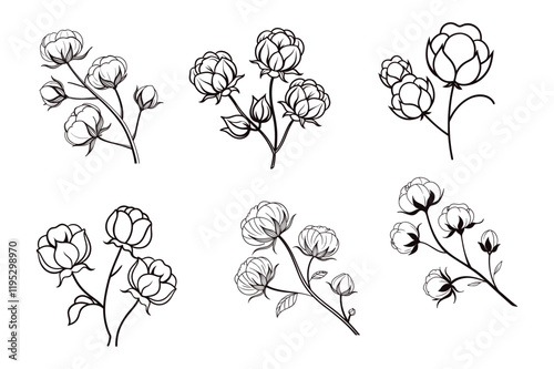 Elegant cotton flowers abstract line art contour drawings in a minimalist style. Perfect for modern decor, digital designs, and seamless patterns. Ideal for creative and stylish projects.