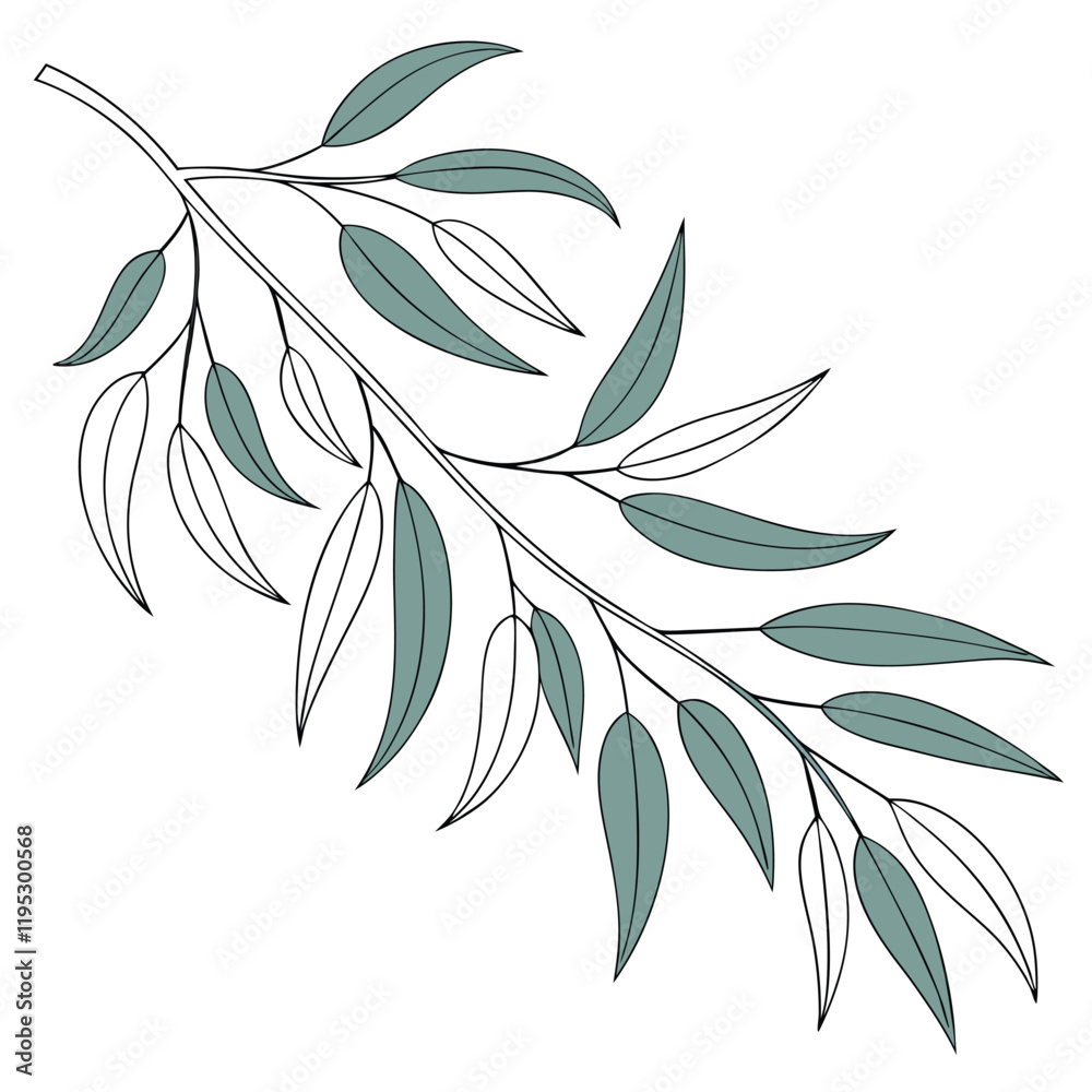 Fototapeta premium Delicate eucalyptus branch with green leaves hand drawn artistic botanical element