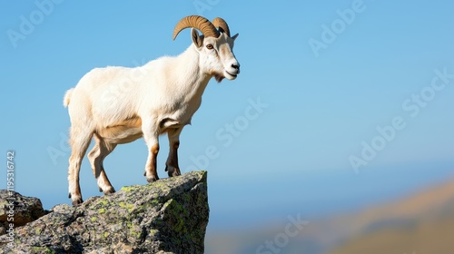 Undefeated Concept, Bold Mountain Goat Perched Gracefully on Steep Cliff Edge Against Clear Blue Sky photo