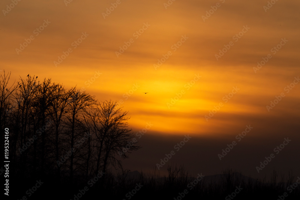 Background of a cloudy sunset with a few birds flying in the orange sky with a perfect vibe. Background of a cloudy sunset with a few birds flying in the orange sky with a perfect vibe.