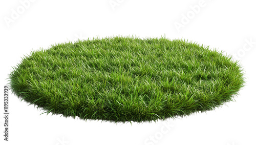 a Green grass field isolated on a transparent background