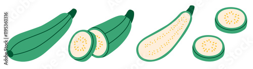 Flat style illustration of zucchini showing whole, halved, and sliced views, ideal for healthy eating, cooking projects, and vegetable-inspired designs.