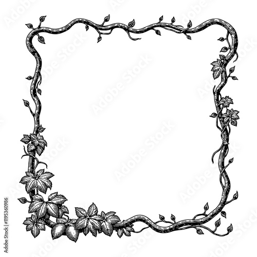 Vines Frame with Detailed Leaves and Branches Black and White Outline Line Art Drawing