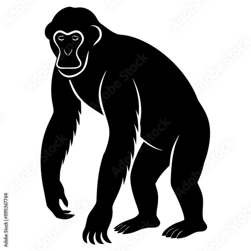 Gorilla, Chimpanzee, Orangutan  silhouette photo