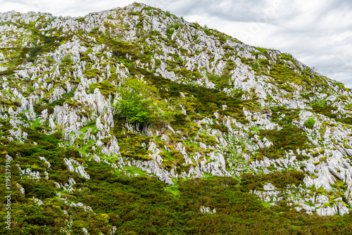 Route to Covadonga, Lakes, Mountains, Cangas de Onis, Asturias, Picos de Europa, Spain photo