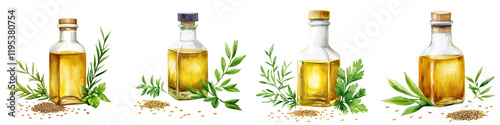 Sesame Oil Bottles with Herbs and Spices