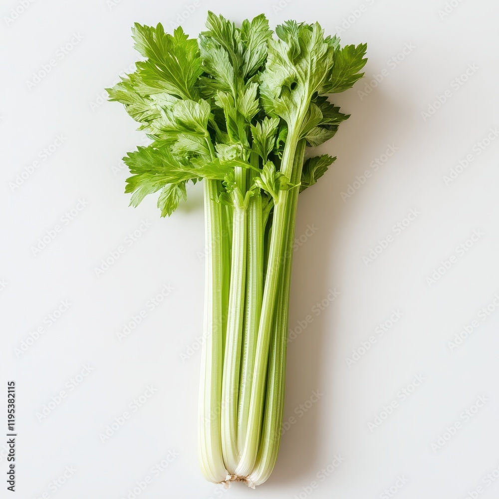 Fresh celery stalk with crisp green leaves, ideal for healthy meals and snacks in kitchen settings Fresh celery stalk with crisp green leaves, ideal for healthy meals and snacks in kitchen settings
