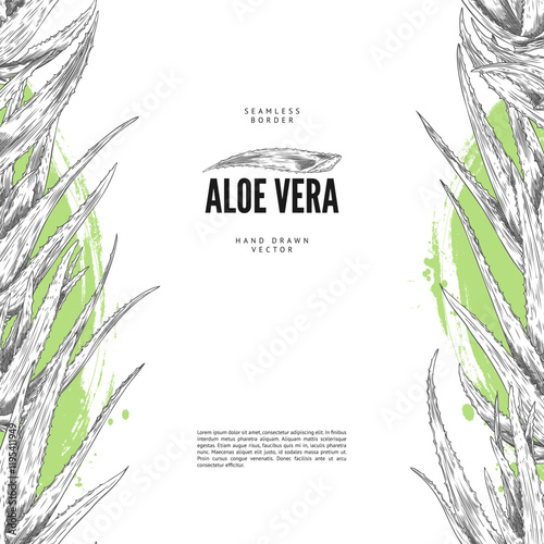 Vector poster with vertical borders depicting aloe vera, a useful plant with prickly leaves