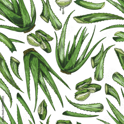 Seamless vector pattern of aloe vera with green leaves, cut and whole plants hand-drawn