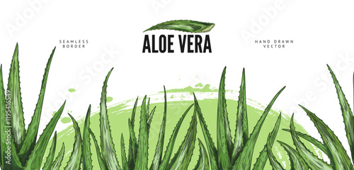 Vector illustrations of aloe vera banner in seamless frame.