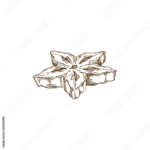 Vector element with a piece of sweet and sour carambola fruit on a white background