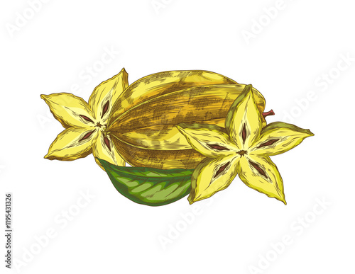 A vector element with an exotic star-shaped carambola fruit on a white background.