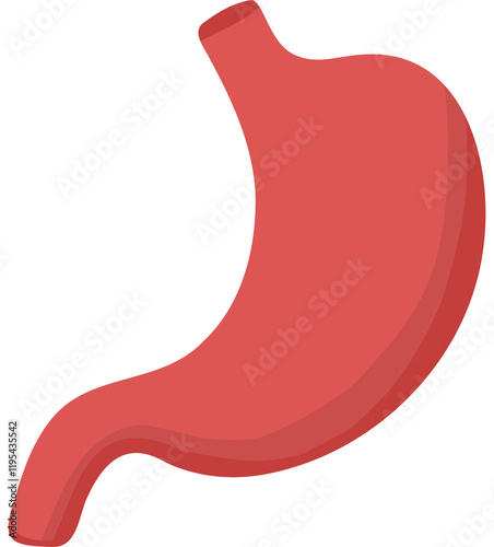 stomach